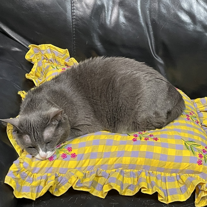 お花の刺繍をあしらったギンガムチェック柄のクッションカバーで彩りをプラス