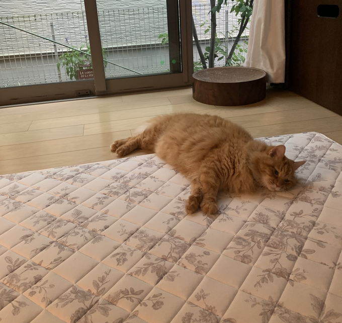 ひんやり効果をプラスした冷感ラグで夏のおうち時間を快適に