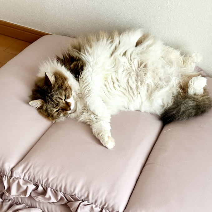 お昼寝にぴったり。ふわふわした触り心地のごろ寝マットでリラックスタイムがぐっと快適に