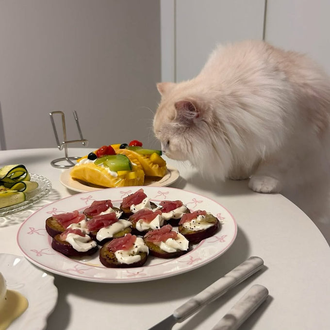 細いリボンをリム部分にプリントしたプレートで食卓にときめきを