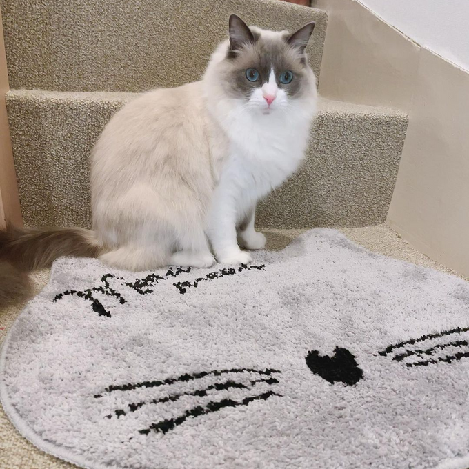 ネコ好きにはたまらないキャットフェイス型のマルチマット