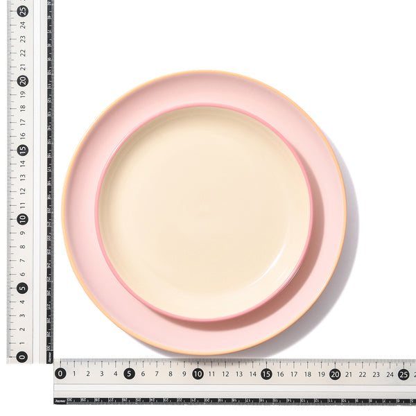 オルディカラフル しっかりごはん 食器5点セット ピンク