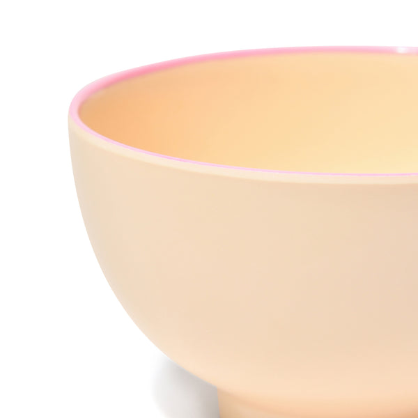 オルディカラフル しっかりごはん 食器5点セット ピンク