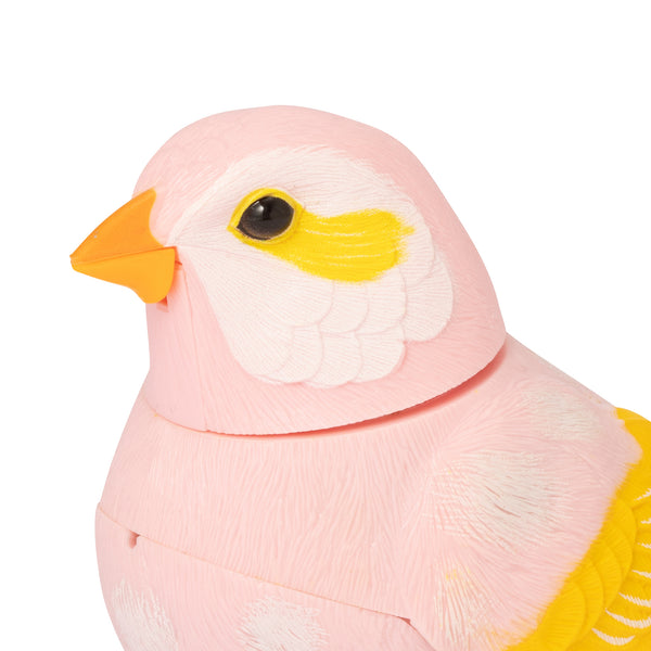 人感ミュージックバード クリップ ピンク
