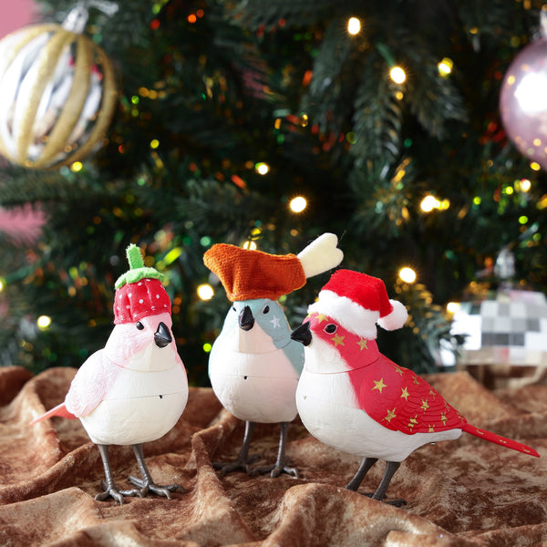 ミュージックバード クリスマス チキン グリーン