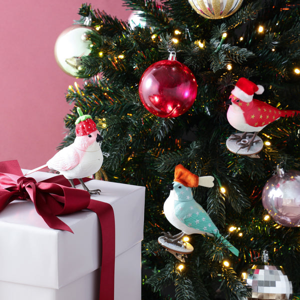 ミュージックバード クリスマス ベリー ピンク