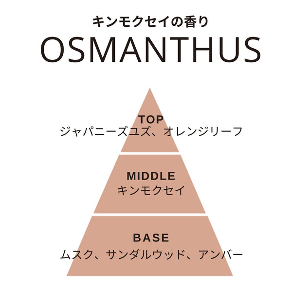 オータムミューズ フレグランス 木芯キャンドル