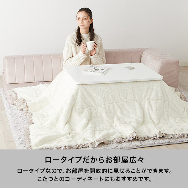 【EC限定】ファミーユ ローソファ 2S  グレー（W1000）