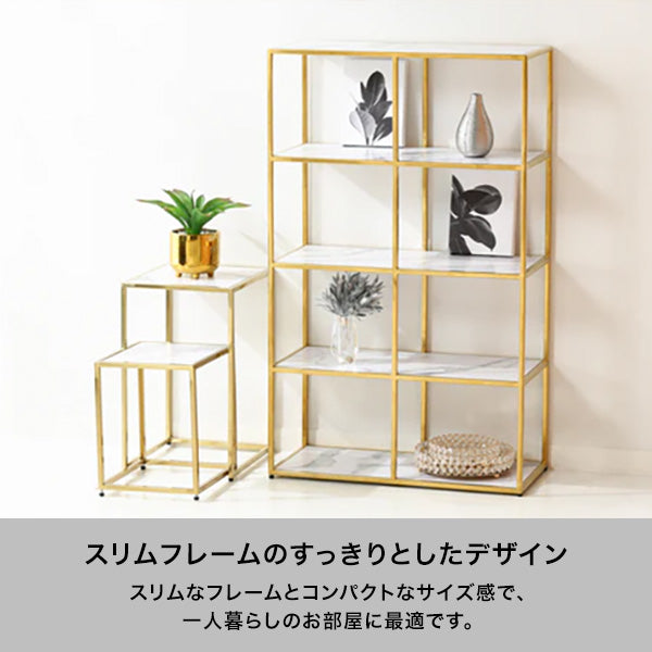 レーヌ シェルフ 2 S